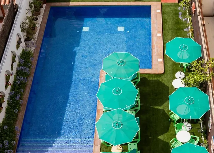 아파트 Atzavara *